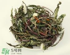 蒲公英晒干还需焯水吗?蒲公英晒干后要焯水吗? 蒲公英晒干还需焯水吗?蒲公英晒干后要焯水吗?