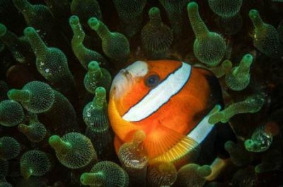 ​南京有什么孩子好玩的地方吗？南京适合小孩玩的地方 是哪里呀