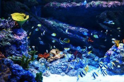 ​宜宾附近有哪些好玩的旅游景点，宜宾一日游最佳景点