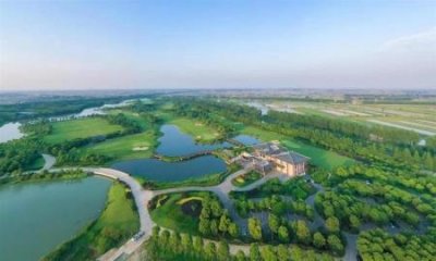 ​一批外国游客来中国旅游，他们有哪些独特的体验