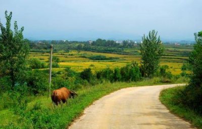 ​柬埔寨有什么好吃的柬埔寨美食攻略