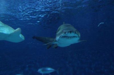 ​九山十二峰，还是九峰十二山