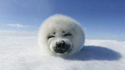 ​千岛湖旅游攻略