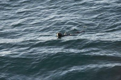 ​雅安有哪些旅游景点