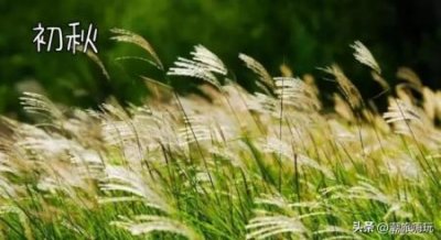 ​清迈曼谷哪里有美食清迈曼谷美食