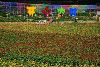 ​浅谈包车客运和旅游客运的区别是什么？班车客运包车客运