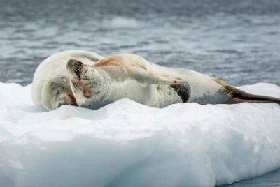 汉中龙头山冬天旅游攻略陕西汉中龙头山景区