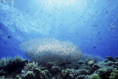 旅游胜地有哪些