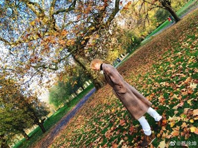 ​跟着明星去留学！蔡徐坤究竟入读哪所利兹？