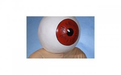 ​了解双鱼座男性的特性：生活、爱情和职业的独特视角