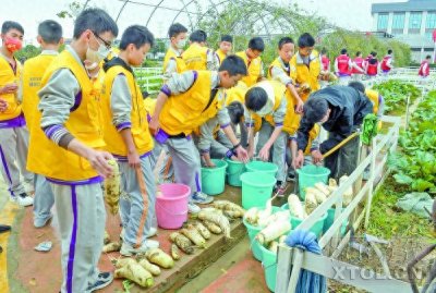 ​新文旅 新湘潭丨华银生态园：以“农业+”推动一二三产业高质量融合