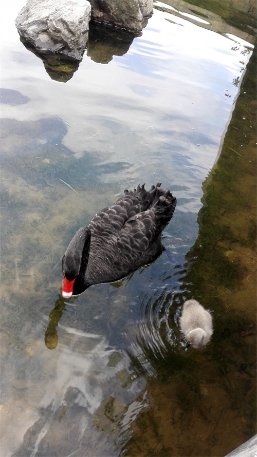 华为深圳总部场地实拍——果然大公司，够气派！