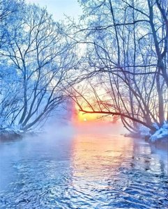 ​东北雪国的美丽雪景