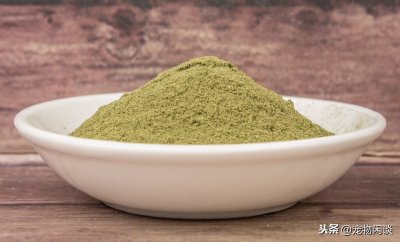 ​给狗喂药的几种实用方法，操作简单不费劲，现在就能学会