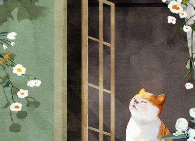 精神分析理论分为哪四大块