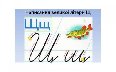 巨蟹男疯狂爱你的表现有哪些呢