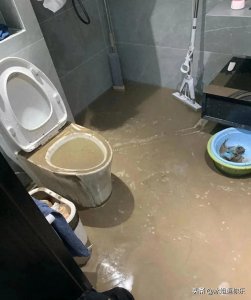 傻眼了!山东宝妈买高层二楼的结果惨不忍睹,网友:“你傻呀!”