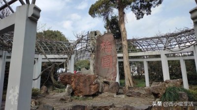 ​无锡梅园为什么叫无锡荣氏梅园