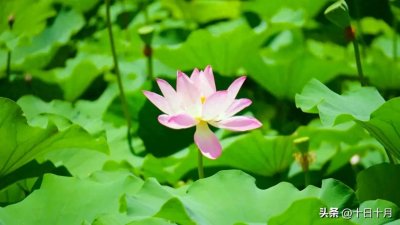 ​10 个神奇的转运方法，照着做，你的生活一定会顺风顺水！