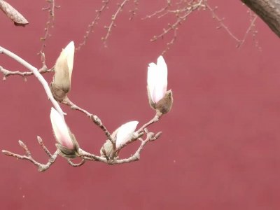 ​不忘初心，方得始终