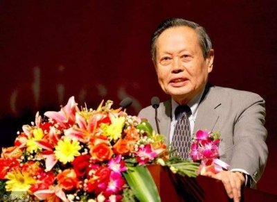 ​杨振宁对中国有什么贡献，为什么许多国人不认可他？