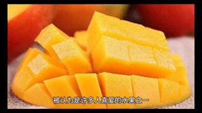 ​芒果的简单介绍