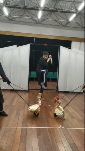 ​大人小孩都爱看！儿童剧《崂山道士》11月2日魔幻来袭