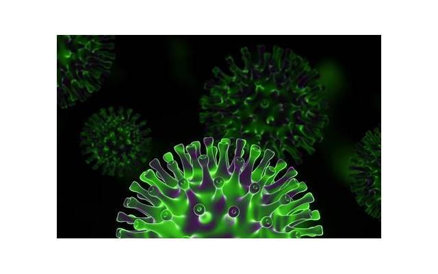 心智的七个层次 出处 心智的七个层次 出处