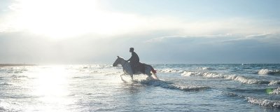 ​青海湖有哪些景点 青海湖景点有哪些