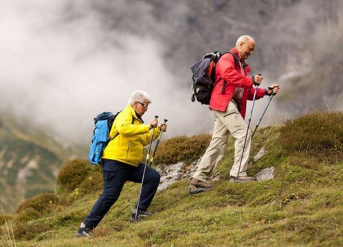 驴友是什么（什么是驴友）