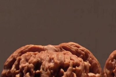 ​苹果园狮子头好还是四座楼好