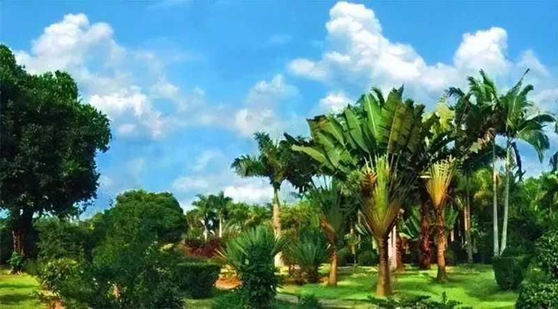 湛江景点排名第一的是（广东湛江最受游客欢迎的8大景点）