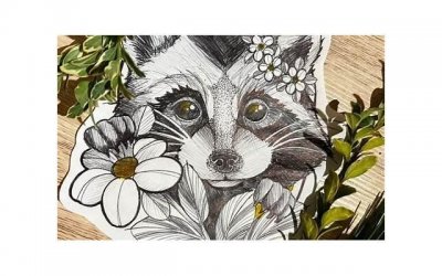 ​水洗棉和纯棉哪个更好（纯棉和水洗棉哪个更好）