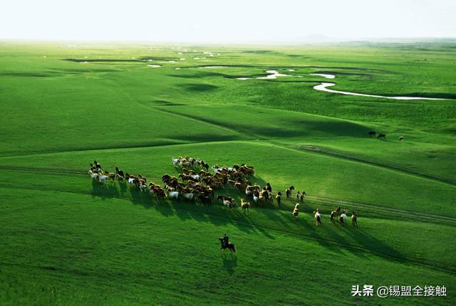 锡林浩特市属于哪个省市(内蒙锡林浩特市属于哪个市)