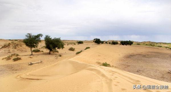 锡林浩特市属于哪个省市(内蒙锡林浩特市属于哪个市)