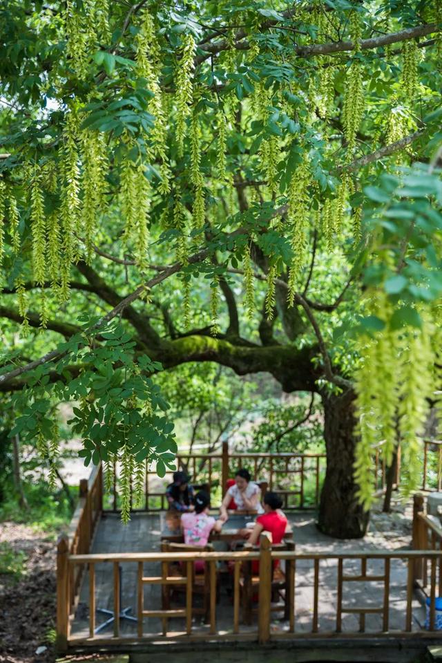 安徽南部小众旅游攻略（安徽人游安徽悠闲慢生活）(18)