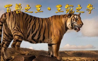 ​在陆地生态系统中，谁才是真正的“万兽之王”？为什么？