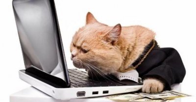 ​“影子经纪人”的影子背后