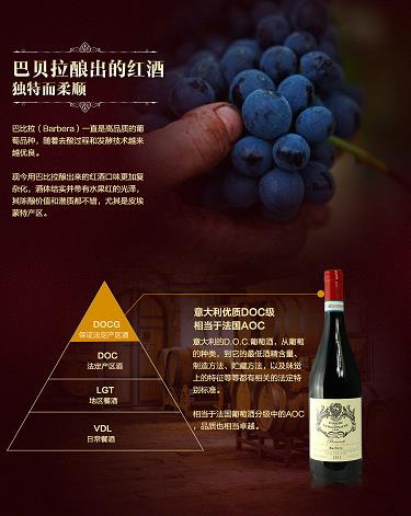 百年特酿多少钱一箱