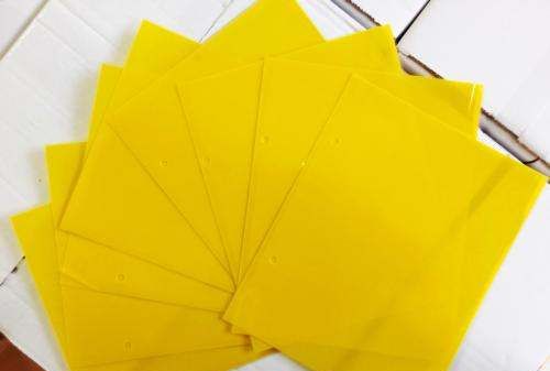 蟑螂如何彻底清除,家里蟑螂怎么彻底清除图8