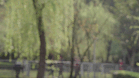 大疆fpv属于什么类型的穿越机（详细测评及极限测试）(28)