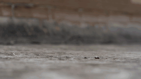 大疆fpv属于什么类型的穿越机（详细测评及极限测试）(30)