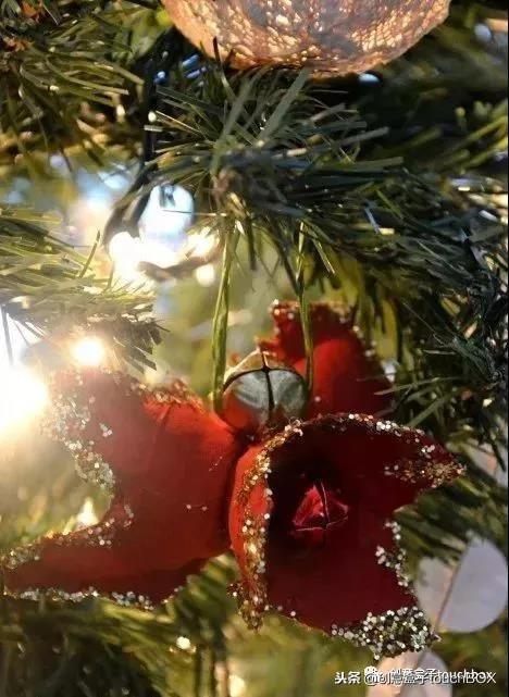 整个鸡蛋托手工制作（16种鸡蛋托手工制作方法教程）(66)