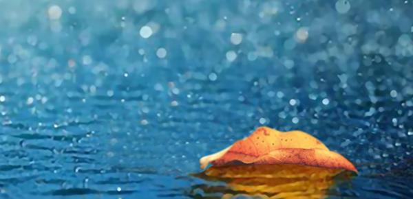 怎么对付要你背黑锅的人呢