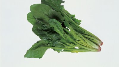 ​菠菜水泡黑色衣服步骤