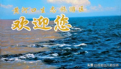 ​《山东行》泾渭分明的黄河入海口