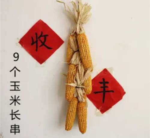 9个玉米长串