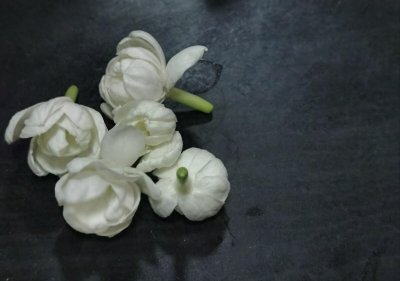 ​《只得一生》献给萧红，《海上花》写尽柔情，华语音乐的灯塔