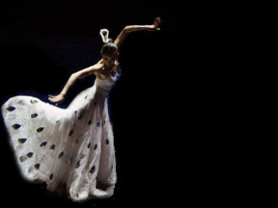 杨丽萍魅力依旧，演绎舞者人生不老传奇