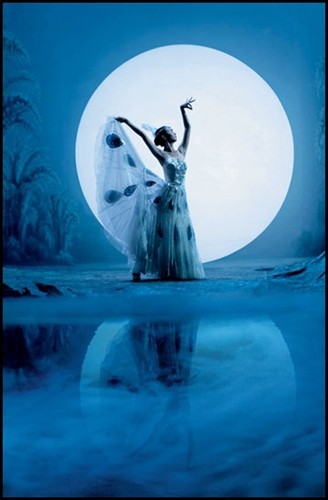 杨丽萍魅力依旧，演绎舞者人生不老传奇